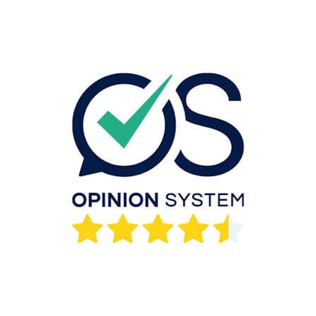 Opinion System
